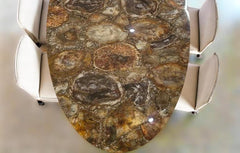 Oval Petrified Wood Dining Table – Handmade Center Table / Conference Table – Natural Stone Furniture for Home & Office Decor Unique Handicrafts IND