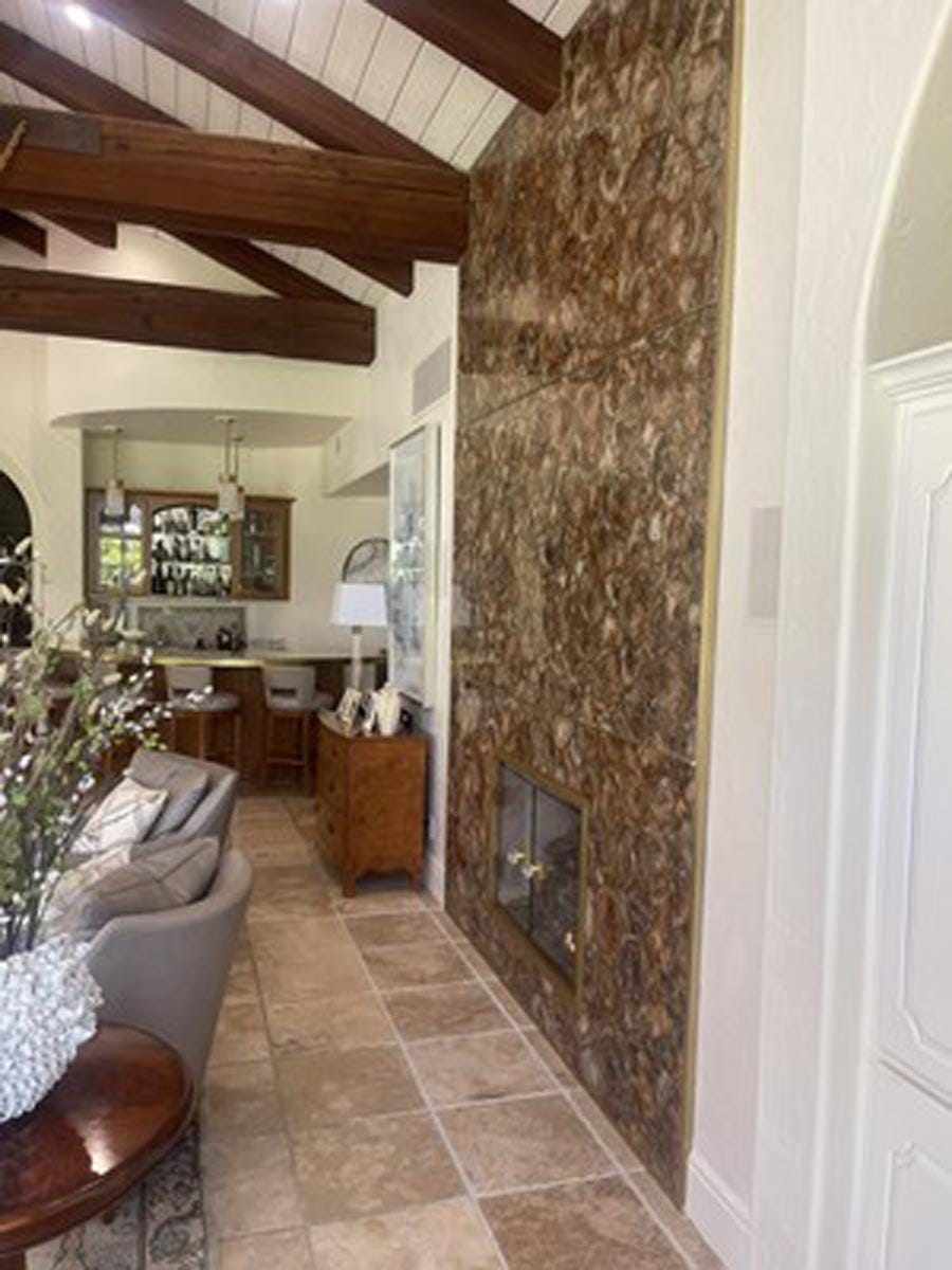 Petrified Wood Wall Panel – Natural Stone Slabs for Living Room Decor Unique Handicrafts IND